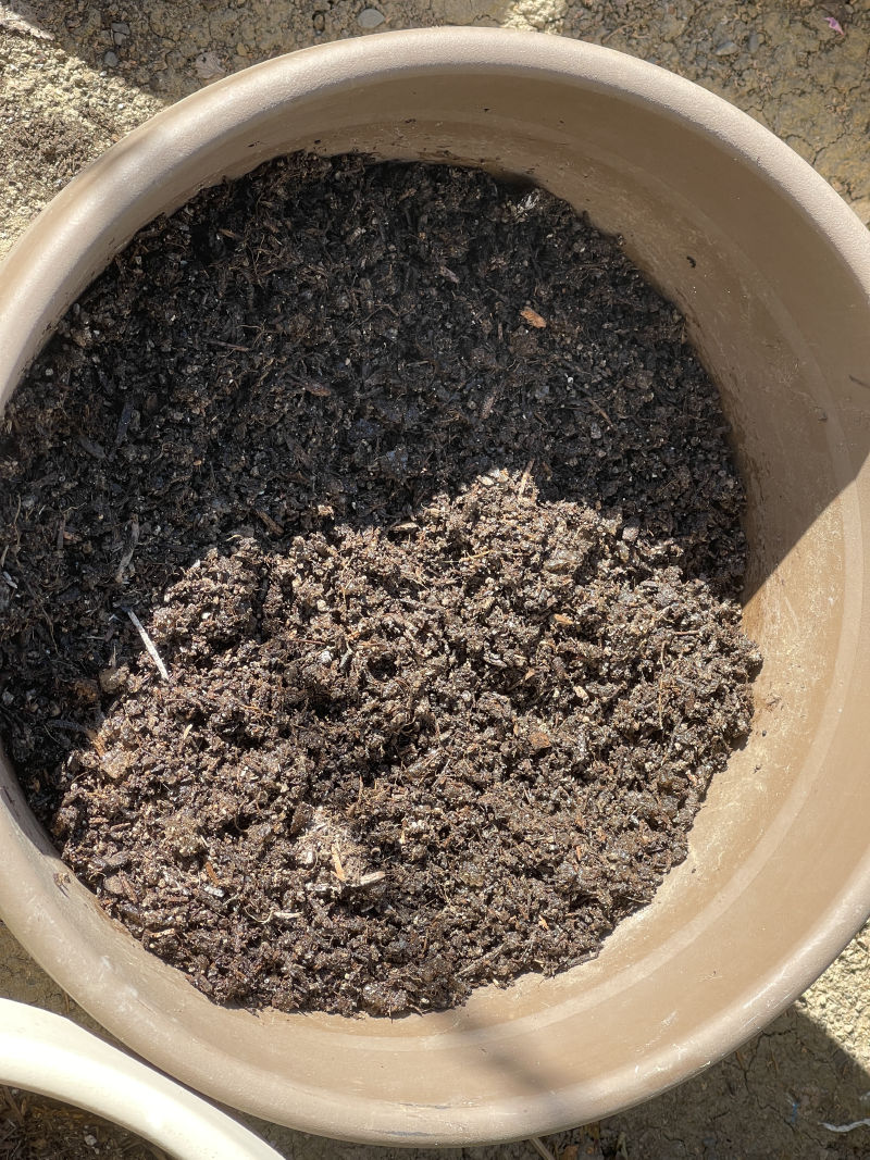 A closeup of the pot with mixed soil, water crystals, and fertilizer.