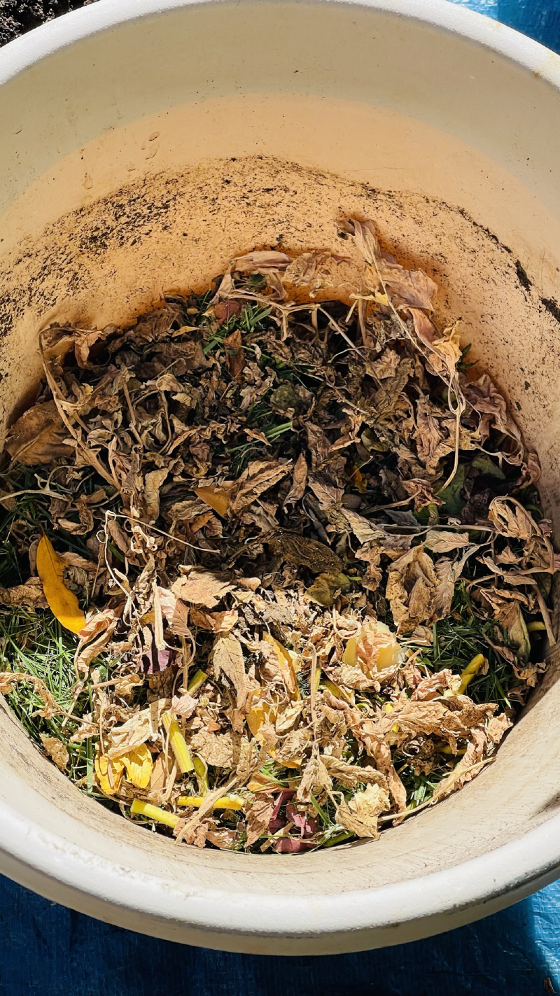 View of inside of plastic pot with a less than 5 inch layer of yard waste on the bottom.
